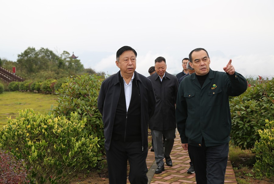 19-2021年10月，原國(guó)土資源部副部長(zhǎng)汪民蒞臨公司調(diào)研。.jpg