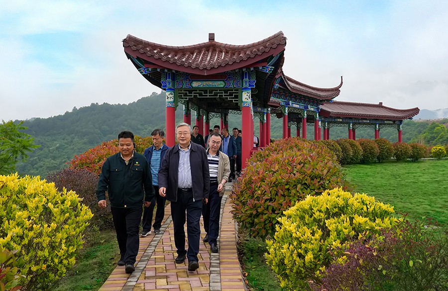 49-2022年5月，省工信廳副廳長(zhǎng)王海峰一行蒞臨金徽股份調(diào)研綠色礦山建設(shè)工作。.jpg