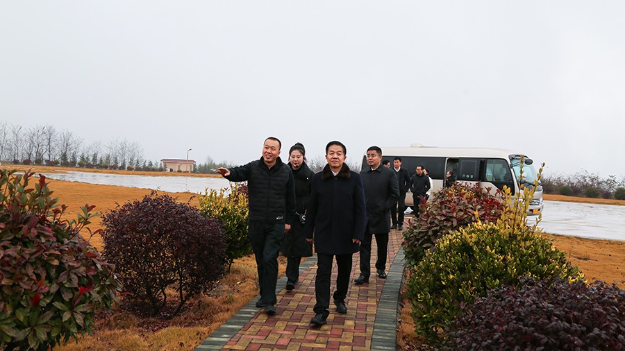45-2020年12月，省高級(jí)人民法院黨組成員、副院長(zhǎng)任建國(guó)蒞臨金徽股份調(diào)研知識(shí)產(chǎn)權(quán)司法保護(hù)工作。.jpg