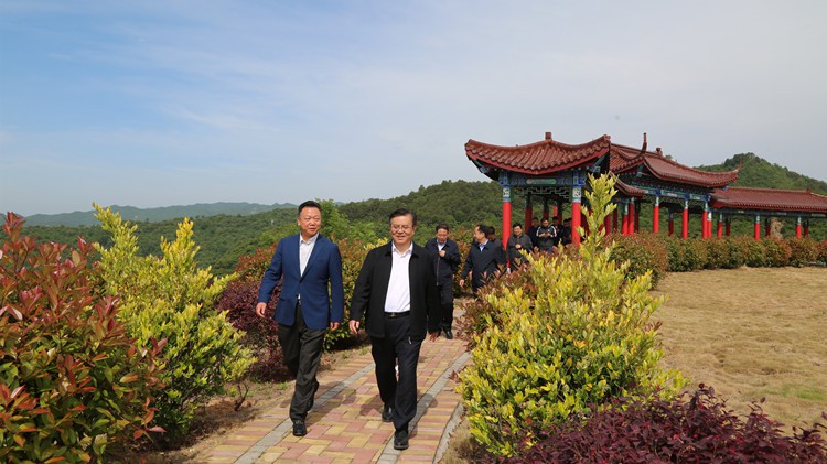 省人民檢察院黨組書(shū)記、檢察長(zhǎng)朱玉調(diào)研金徽股份